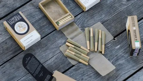 Hemp Pre Roll Boxes in Durable Boxes Packaging