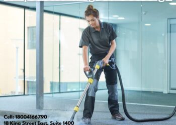 Why Every Stylish Home Needs Professional Carpet Cleaning