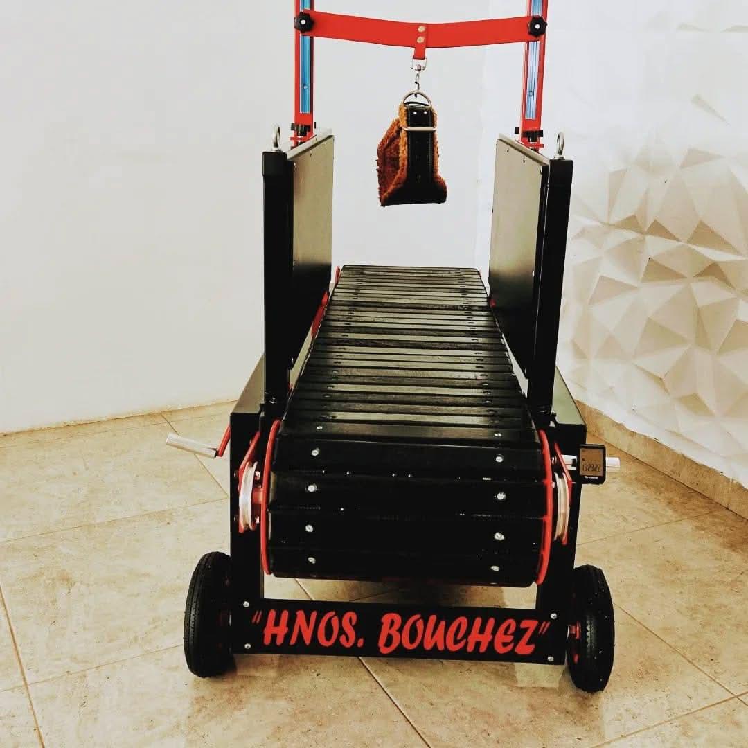 Dog treadmill for sale - treadmill for dogs - treadmillfordogs.com