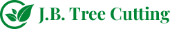 Investing in Your Landscape: The Long-Term Value of Professional Tree Cutting Services