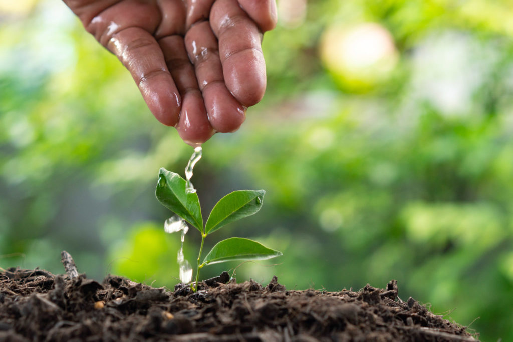 Best Sustainability Index Services for Business Growth