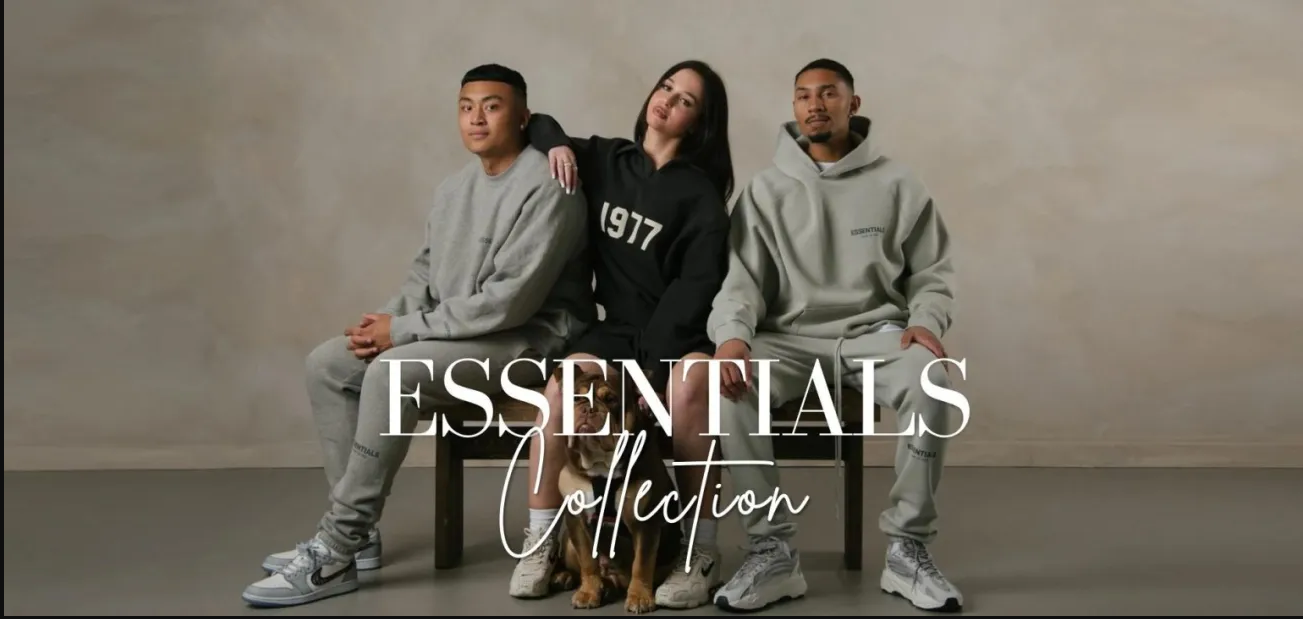 Essential Hoodie: Comfort You Can Count On