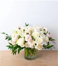The Hidden History of September’s Birth Flowers: From Aster Buds to Folklore