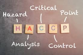 haccp certification