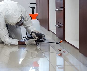 What Is The Important Part of Pest Control Services?