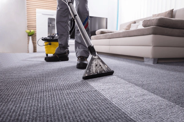 Why Every Home Needs the Benefits of Professional Carpet Cleaning